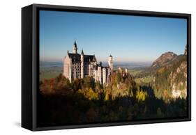 Neuschwanstein Castle in Autumn-Alex Saberi-Framed Stretched Canvas