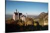 Neuschwanstein Castle in Autumn-Alex Saberi-Stretched Canvas