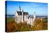 Neuschwanstein Castle in Bavarian Alps, Germany-swisshippo-Stretched Canvas