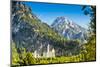 Neuschwanstein Castle in the Bavarian Alps of Germany.-SeanPavonePhoto-Mounted Photographic Print