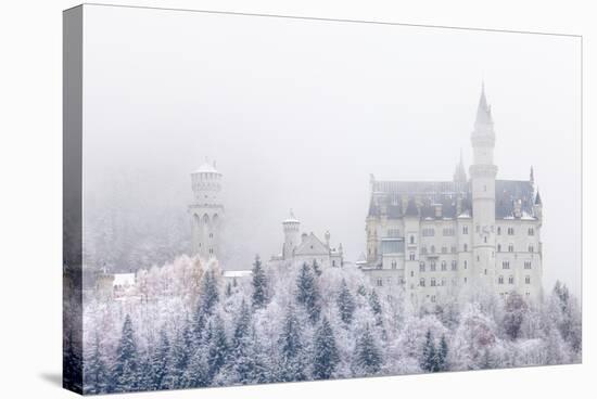 Neuschwanstein Castle in Winter, Fussen, Bavaria, Germany, Europe-Miles Ertman-Stretched Canvas