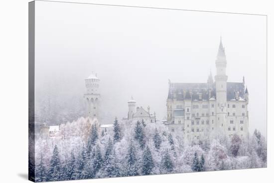Neuschwanstein Castle in Winter, Fussen, Bavaria, Germany, Europe-Miles Ertman-Stretched Canvas