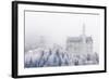 Neuschwanstein Castle in Winter, Fussen, Bavaria, Germany, Europe-Miles Ertman-Framed Photographic Print