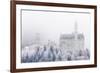 Neuschwanstein Castle in Winter, Fussen, Bavaria, Germany, Europe-Miles Ertman-Framed Photographic Print