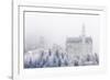 Neuschwanstein Castle in Winter, Fussen, Bavaria, Germany, Europe-Miles Ertman-Framed Photographic Print