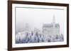 Neuschwanstein Castle in Winter, Fussen, Bavaria, Germany, Europe-Miles Ertman-Framed Photographic Print