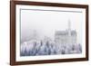 Neuschwanstein Castle in Winter, Fussen, Bavaria, Germany, Europe-Miles Ertman-Framed Photographic Print