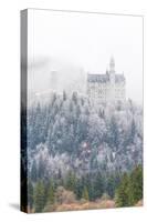 Neuschwanstein Castle in Winter, Fussen, Bavaria, Germany, Europe-Miles Ertman-Stretched Canvas
