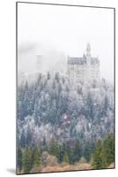Neuschwanstein Castle in Winter, Fussen, Bavaria, Germany, Europe-Miles Ertman-Mounted Photographic Print