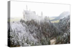 Neuschwanstein Castle in Winter, Fussen, Bavaria, Germany, Europe-Miles Ertman-Stretched Canvas