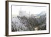 Neuschwanstein Castle in Winter, Fussen, Bavaria, Germany, Europe-Miles Ertman-Framed Photographic Print