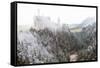 Neuschwanstein Castle in Winter, Fussen, Bavaria, Germany, Europe-Miles Ertman-Framed Stretched Canvas