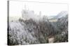 Neuschwanstein Castle in Winter, Fussen, Bavaria, Germany, Europe-Miles Ertman-Stretched Canvas