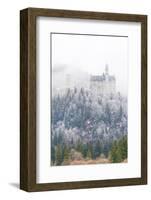 Neuschwanstein Castle in Winter, Fussen, Bavaria, Germany, Europe-Miles Ertman-Framed Photographic Print