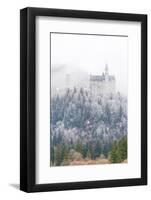 Neuschwanstein Castle in Winter, Fussen, Bavaria, Germany, Europe-Miles Ertman-Framed Photographic Print