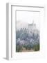 Neuschwanstein Castle in Winter, Fussen, Bavaria, Germany, Europe-Miles Ertman-Framed Photographic Print