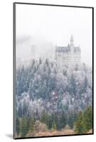 Neuschwanstein Castle in Winter, Fussen, Bavaria, Germany, Europe-Miles Ertman-Mounted Photographic Print