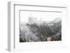 Neuschwanstein Castle in Winter, Fussen, Bavaria, Germany, Europe-Miles Ertman-Framed Photographic Print