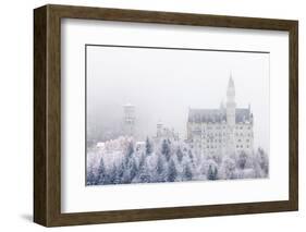 Neuschwanstein Castle in Winter, Fussen, Bavaria, Germany, Europe-Miles Ertman-Framed Photographic Print