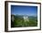 Neuschwanstein Castle on a Wooded Hill with Mountains in the Background, in Bavaria, Germany-null-Framed Photographic Print