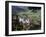 Neuschwanstein Castle, West of Fussen, Bavaria, Germany, Europe-Nigel Blythe-Framed Photographic Print