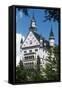 Neuschwanstein Castle-null-Framed Stretched Canvas