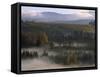 Neuseeland, Sv¼dinsel, Otago, Roxburgh, Tal Des Clutha Rivers, Morgenstimmung, New Zealand-Thonig-Framed Stretched Canvas