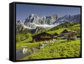 Neustattalm, Dachstein, Styria, Austria-Rainer Mirau-Framed Stretched Canvas