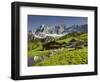 Neustattalm, Dachstein, Styria, Austria-Rainer Mirau-Framed Photographic Print