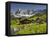 Neustattalm, Dachstein, Styria, Austria-Rainer Mirau-Framed Stretched Canvas