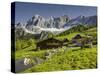 Neustattalm, Dachstein, Styria, Austria-Rainer Mirau-Stretched Canvas