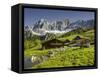 Neustattalm, Dachstein, Styria, Austria-Rainer Mirau-Framed Stretched Canvas