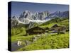 Neustattalm, Dachstein, Styria, Austria-Rainer Mirau-Stretched Canvas