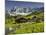 Neustattalm, Dachstein, Styria, Austria-Rainer Mirau-Mounted Photographic Print