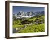 Neustattalm, Dachstein, Styria, Austria-Rainer Mirau-Framed Photographic Print