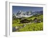 Neustattalm, Dachstein, Styria, Austria-Rainer Mirau-Framed Photographic Print