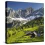 Neustattalm, Dachstein, Styria, Austria-Rainer Mirau-Stretched Canvas