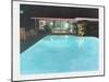 Neutra Pool House-Theo Westenberger-Mounted Premium Photographic Print