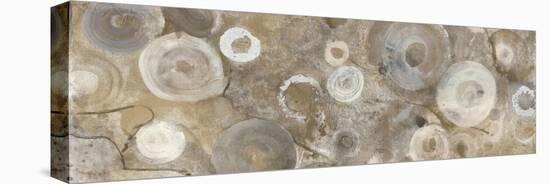 Neutral Agate II-Albena Hristova-Stretched Canvas