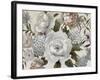 Neutral Beauties-null-Framed Art Print