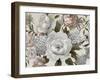 Neutral Beauties-null-Framed Art Print