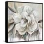 Neutral Bloom II-Carol Robinson-Framed Stretched Canvas