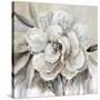 Neutral Bloom II-Carol Robinson-Stretched Canvas