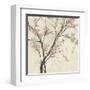 Neutral Blossoms on Cream II-Jennifer Goldberger-Framed Art Print