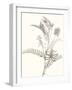 Neutral Botanical Study VII-Vision Studio-Framed Art Print