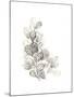 Neutral Botany II-June Vess-Mounted Art Print