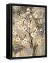 Neutral Branches II Crop-Silvia Vassileva-Framed Stretched Canvas