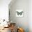 Neutral Butterfly 2-Jace Grey-Art Print displayed on a wall
