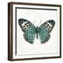 Neutral Butterfly 2-Jace Grey-Framed Art Print