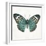 Neutral Butterfly 2-Jace Grey-Framed Art Print